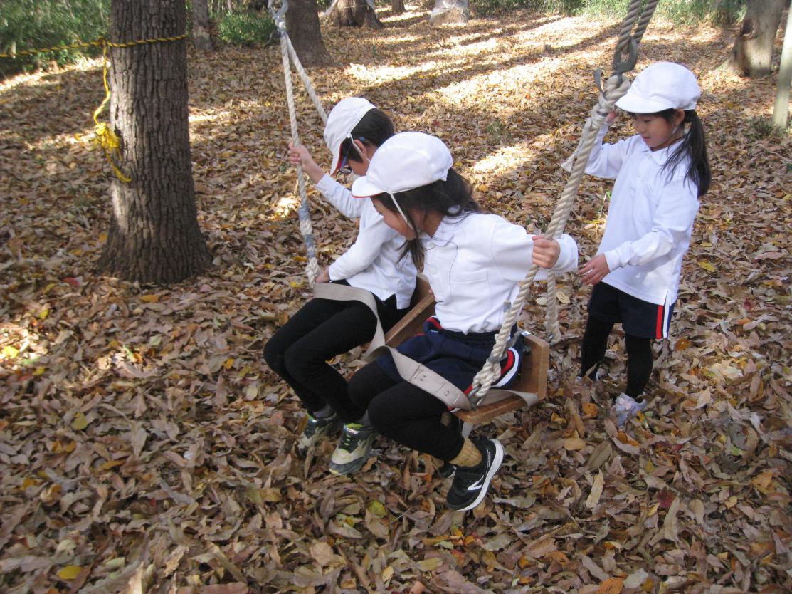 IMG_7537 IMG_7537