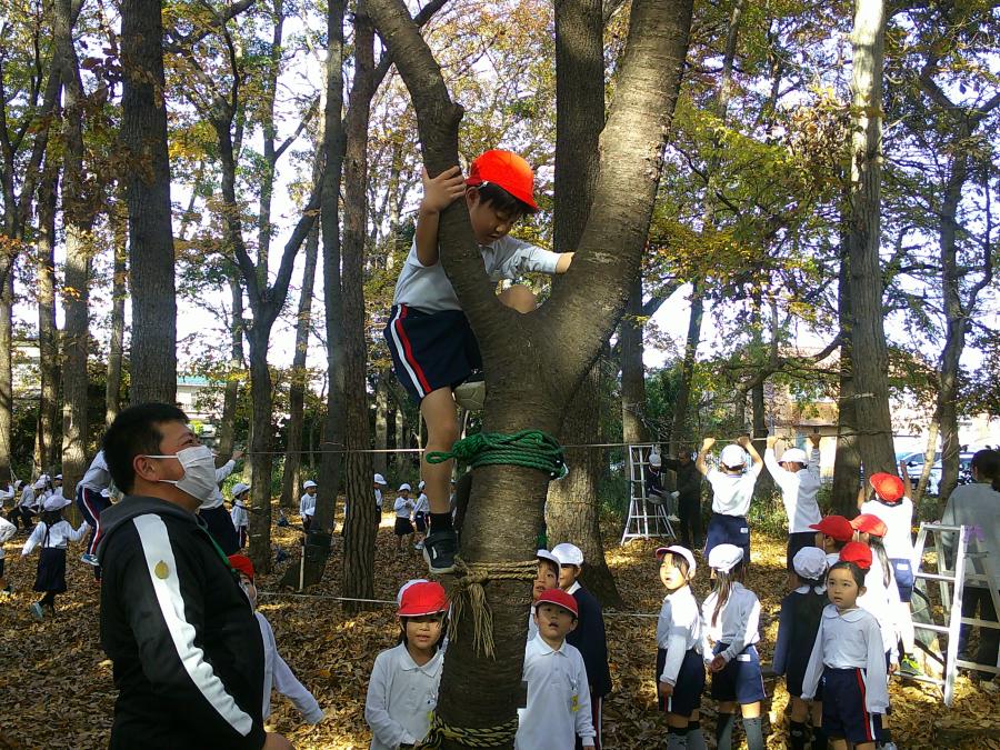 写真2 写真2