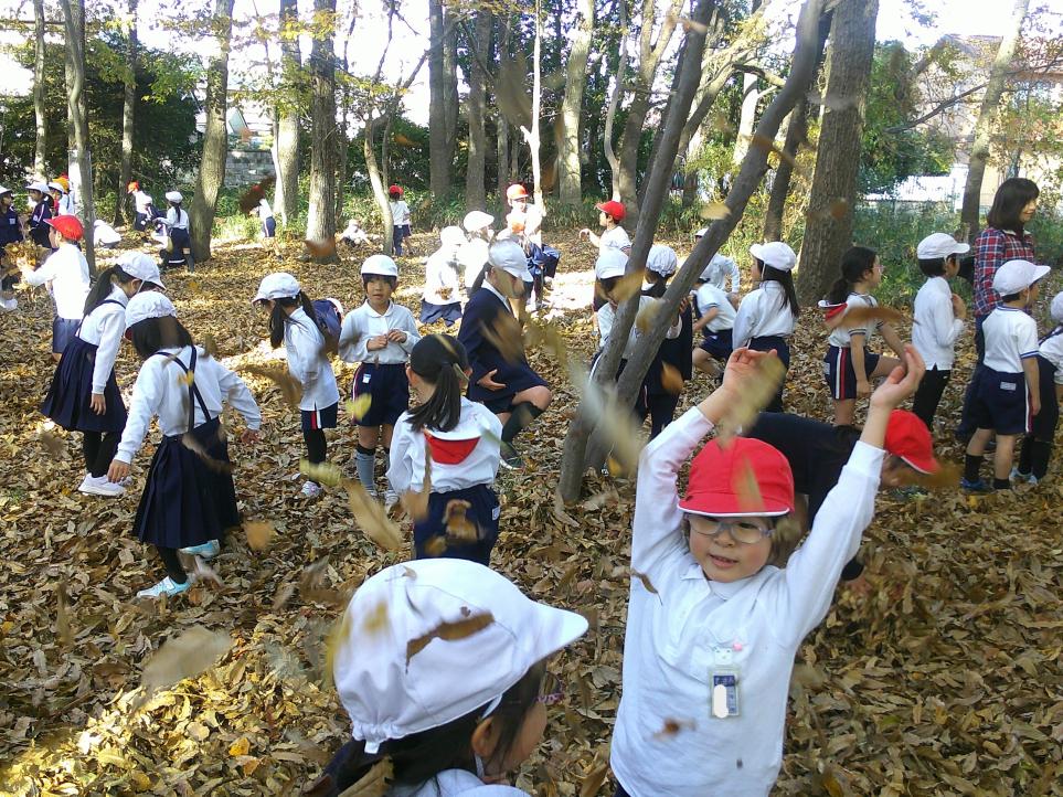 写真7 写真7