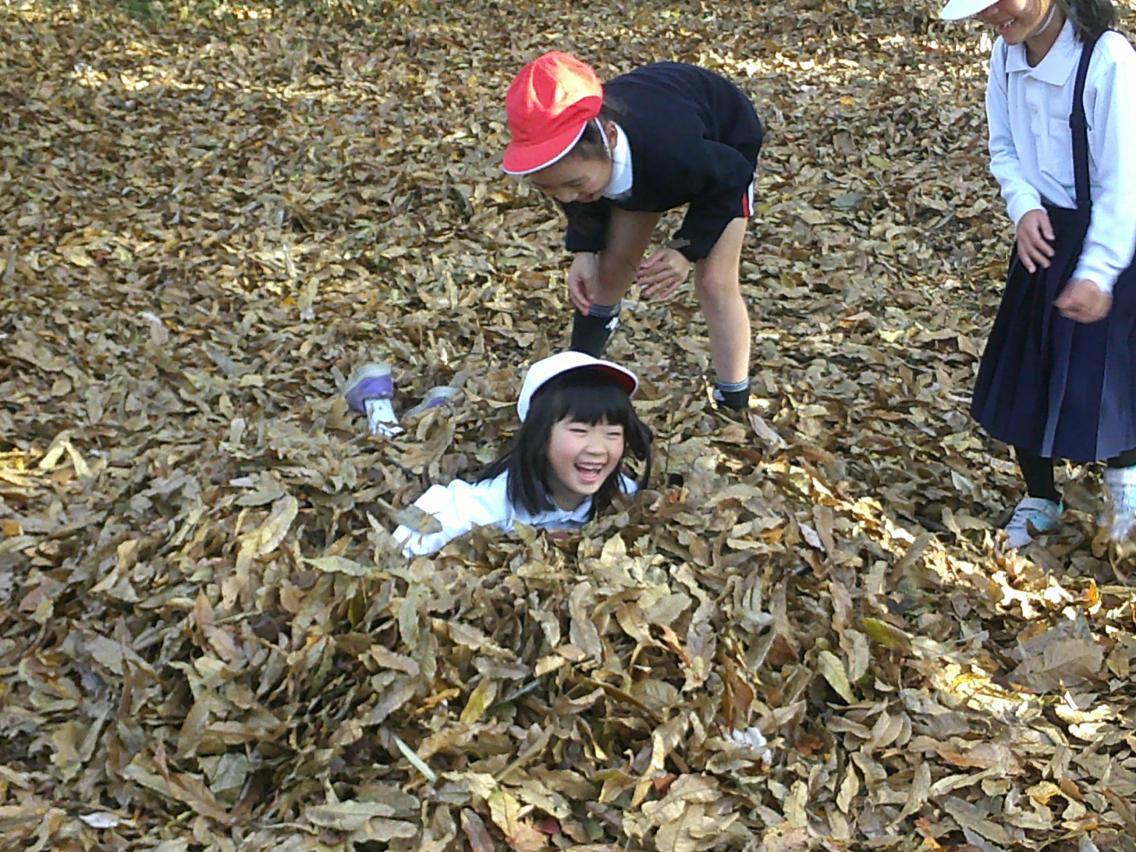 写真10 写真10
