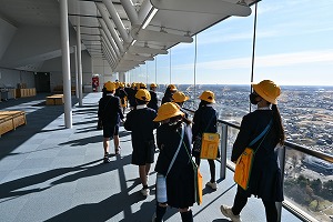 DSC_7371 DSC_7371