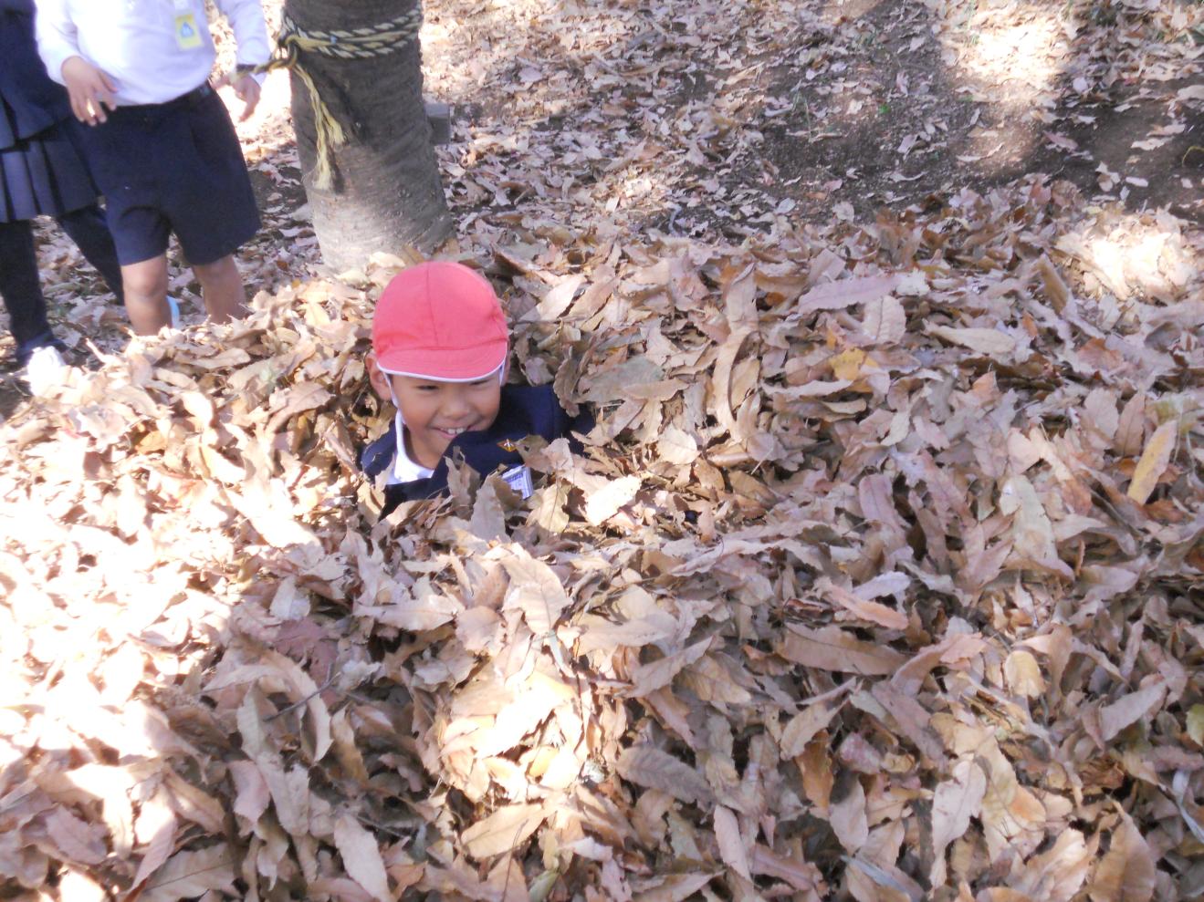 DSCN6525 DSCN6525