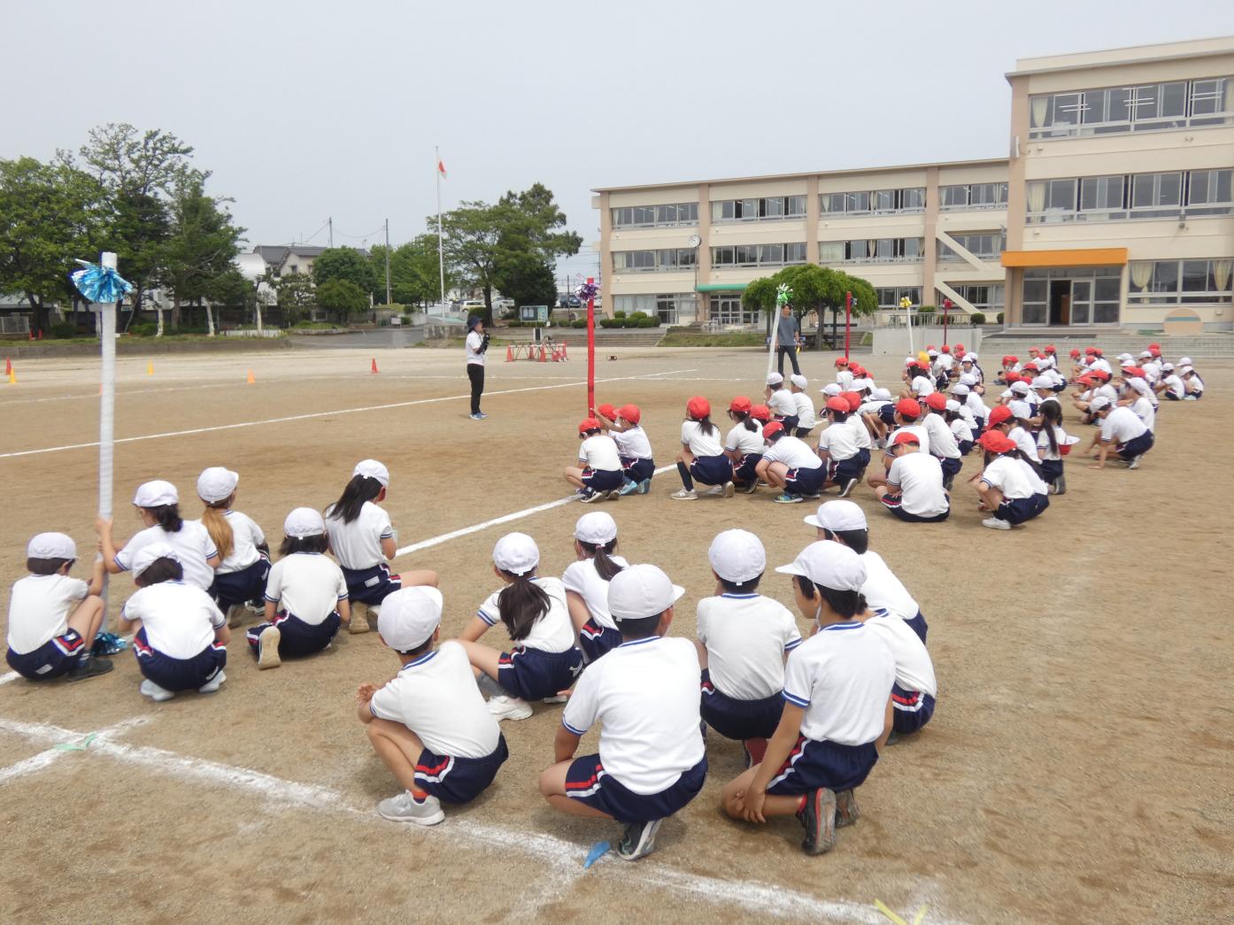 P1030436 P1030436
