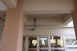 IMG_8808 IMG_8808