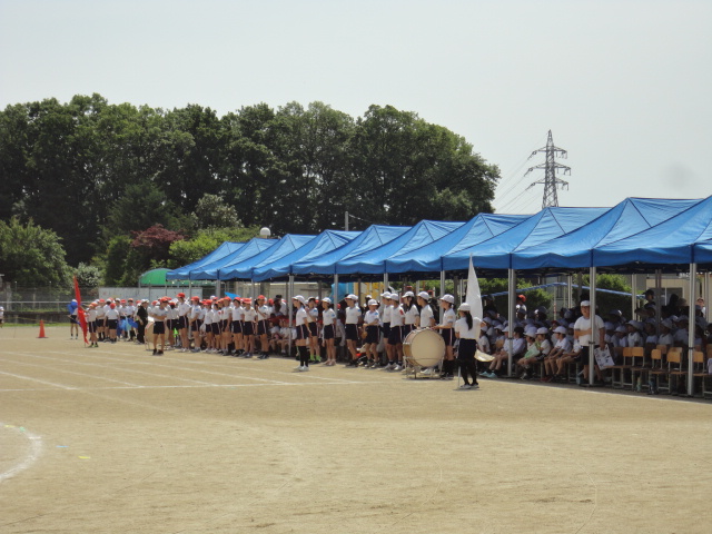 DSC09384