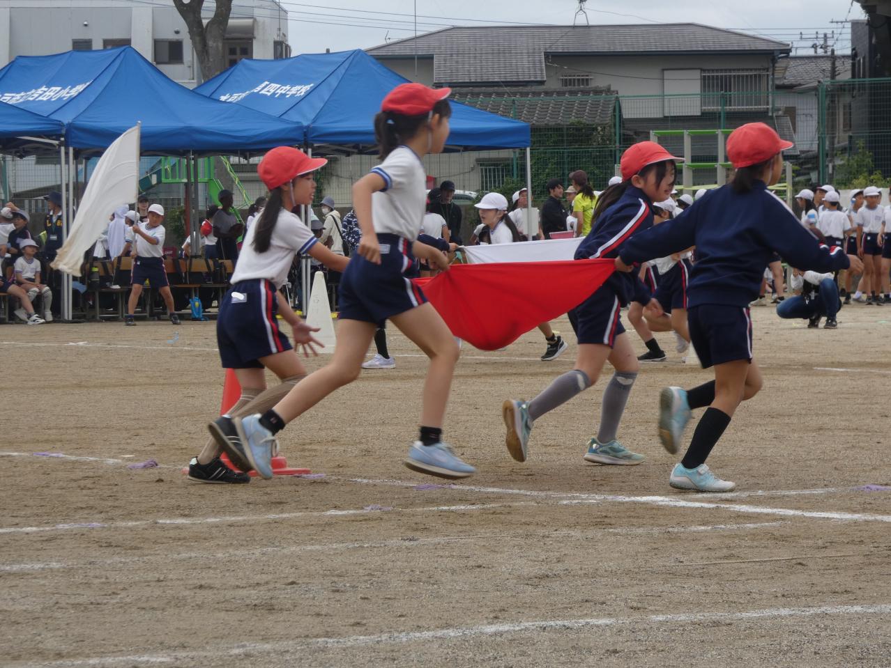P1030645 P1030645