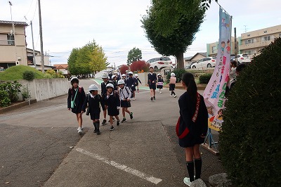 IMG_9575 IMG_9575