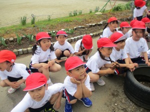 IMG_0855 IMG_0855