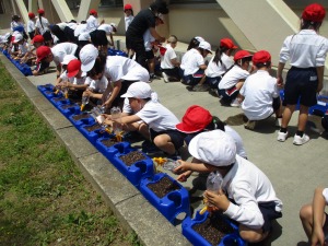 IMG_0987 IMG_0987