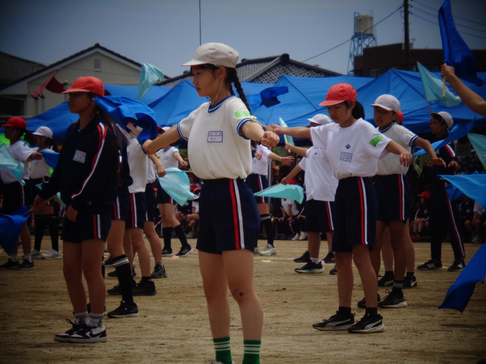 DSC02390 DSC02390