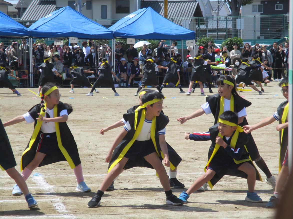 IMG_2039 IMG_2039