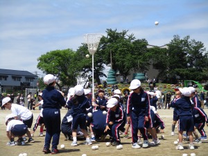 IMG_1002 IMG_1002
