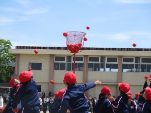 IMG_1031 IMG_1031