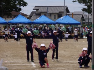 DSC00137 DSC00137
