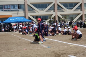 IMG_0342 IMG_0342
