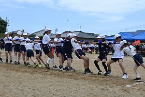 DSC_6331 DSC_6331