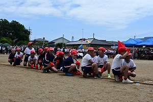 DSC_6336 DSC_6336