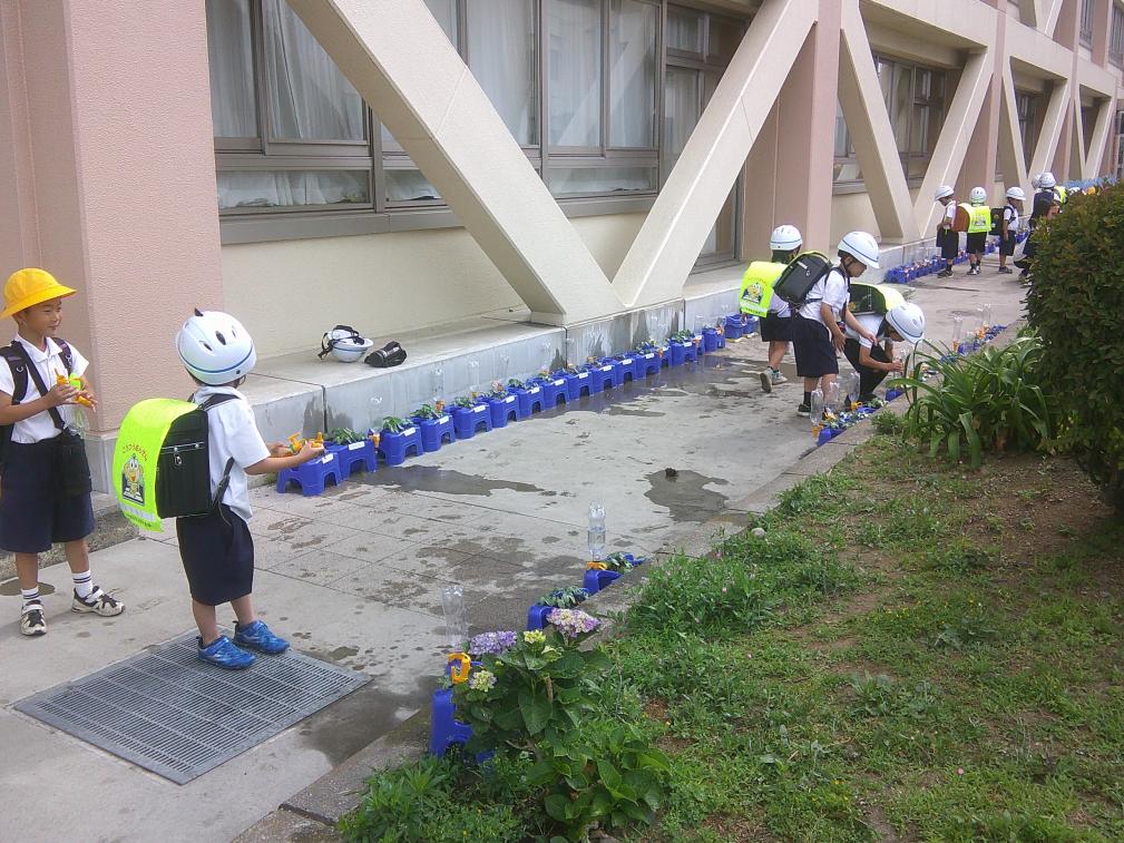 DSCF0733 DSCF0733