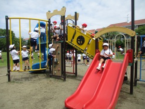 IMG_1156 IMG_1156