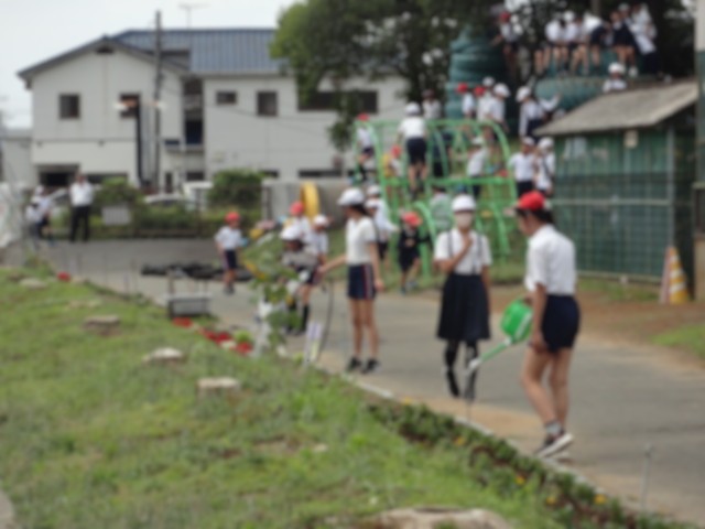 DSC00776 DSC00776