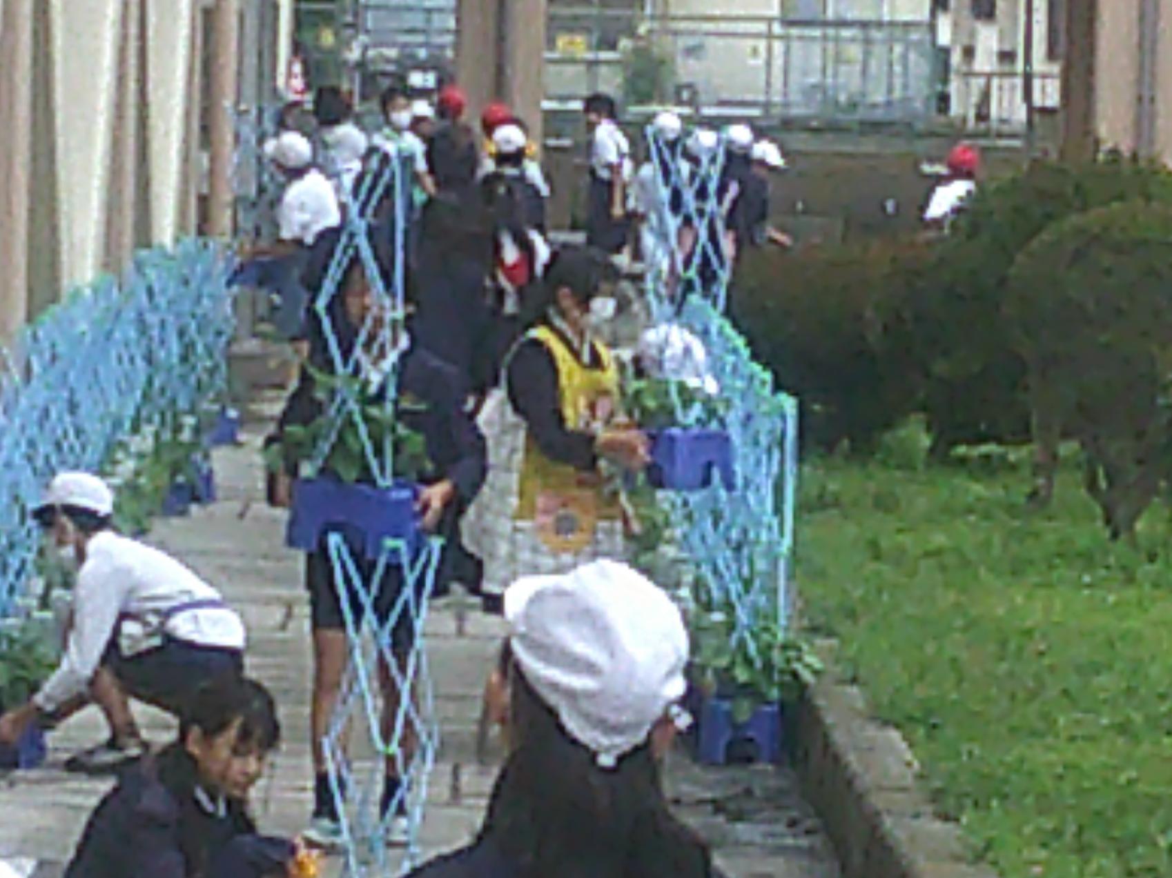 DSCF0908