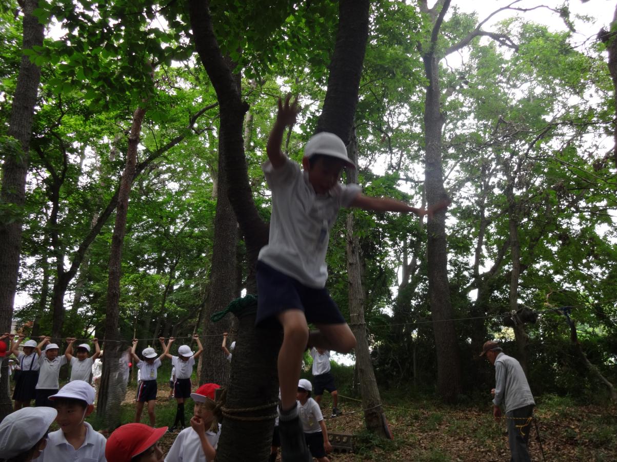 DSC00330 DSC00330