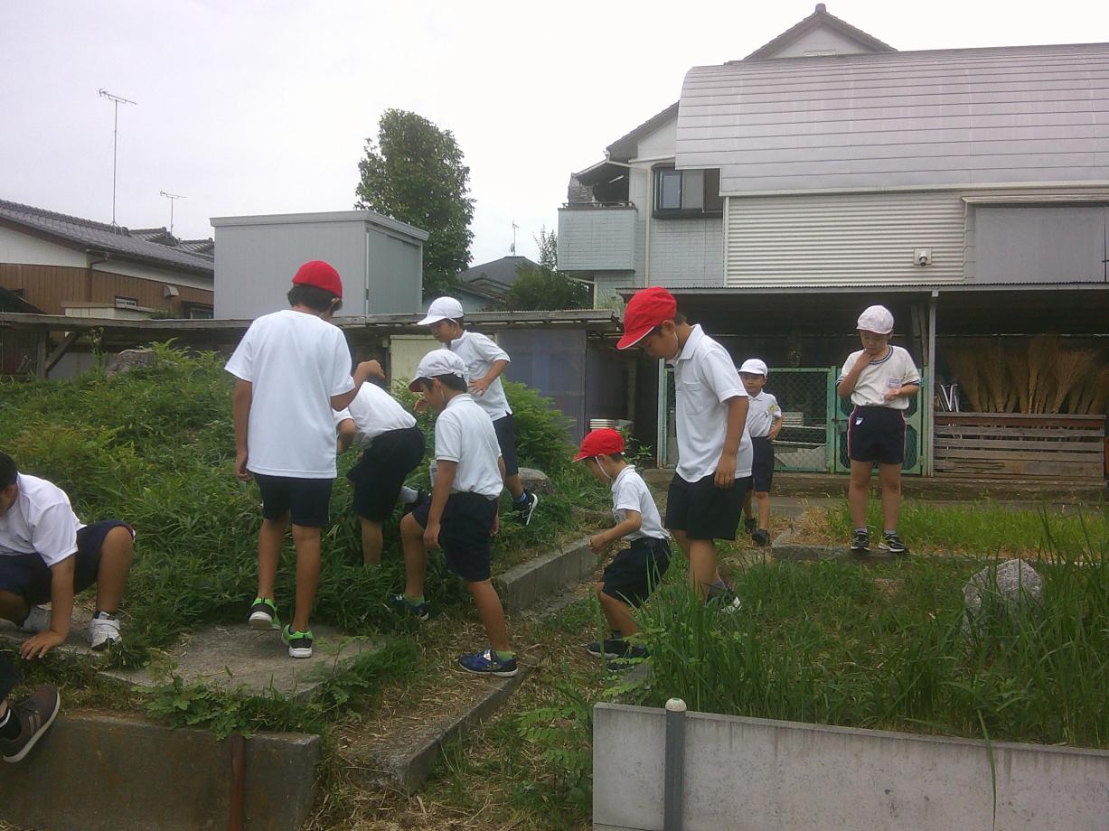 DSCF0325 DSCF0325