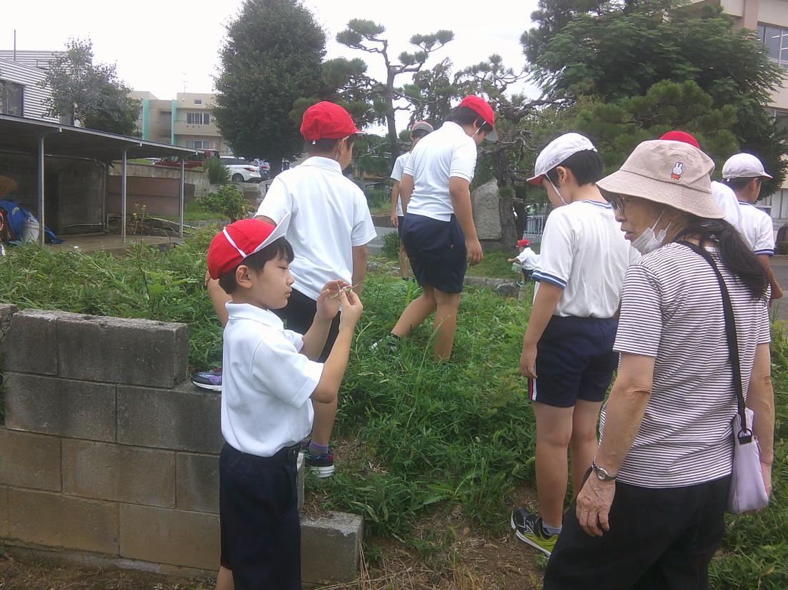 DSCF0333 DSCF0333