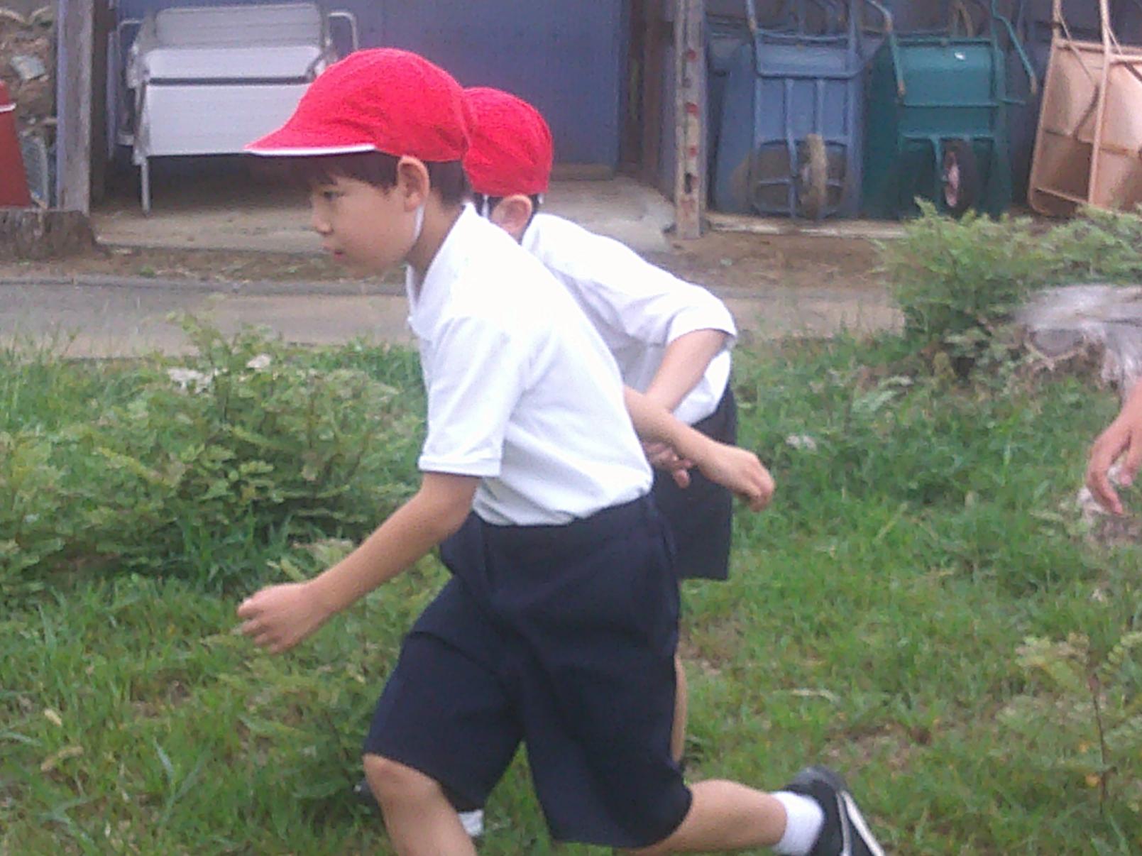 DSCF0337 DSCF0337