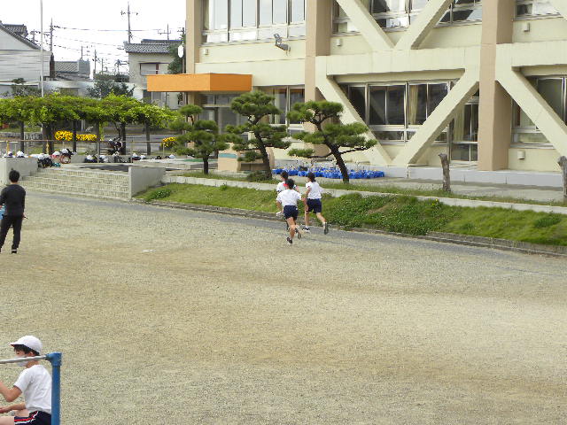 DSCN6501