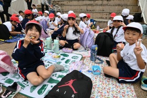 DSC_8817 DSC_8817