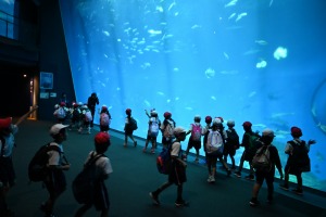 DSC_8379 DSC_8379