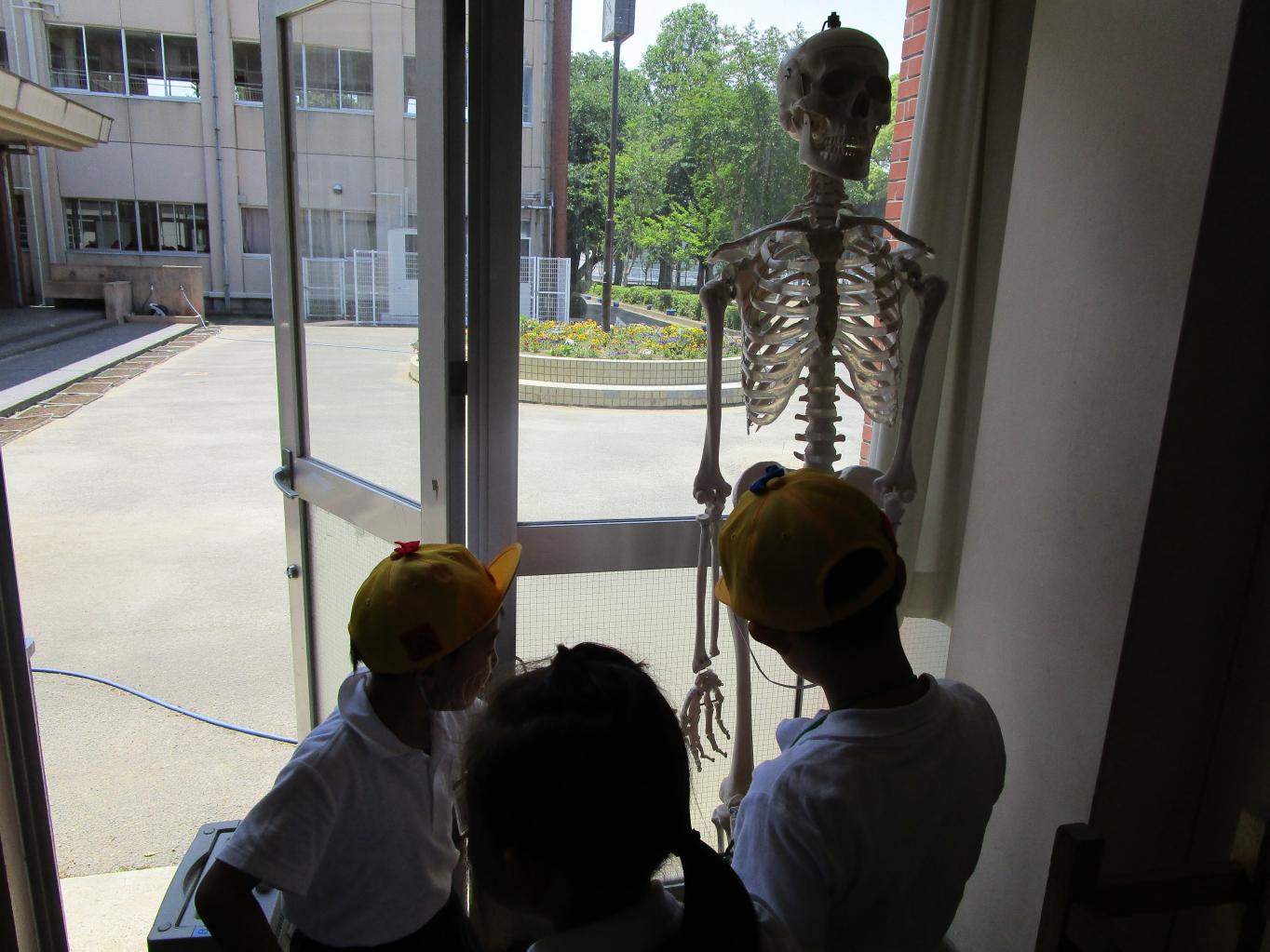 学区探検