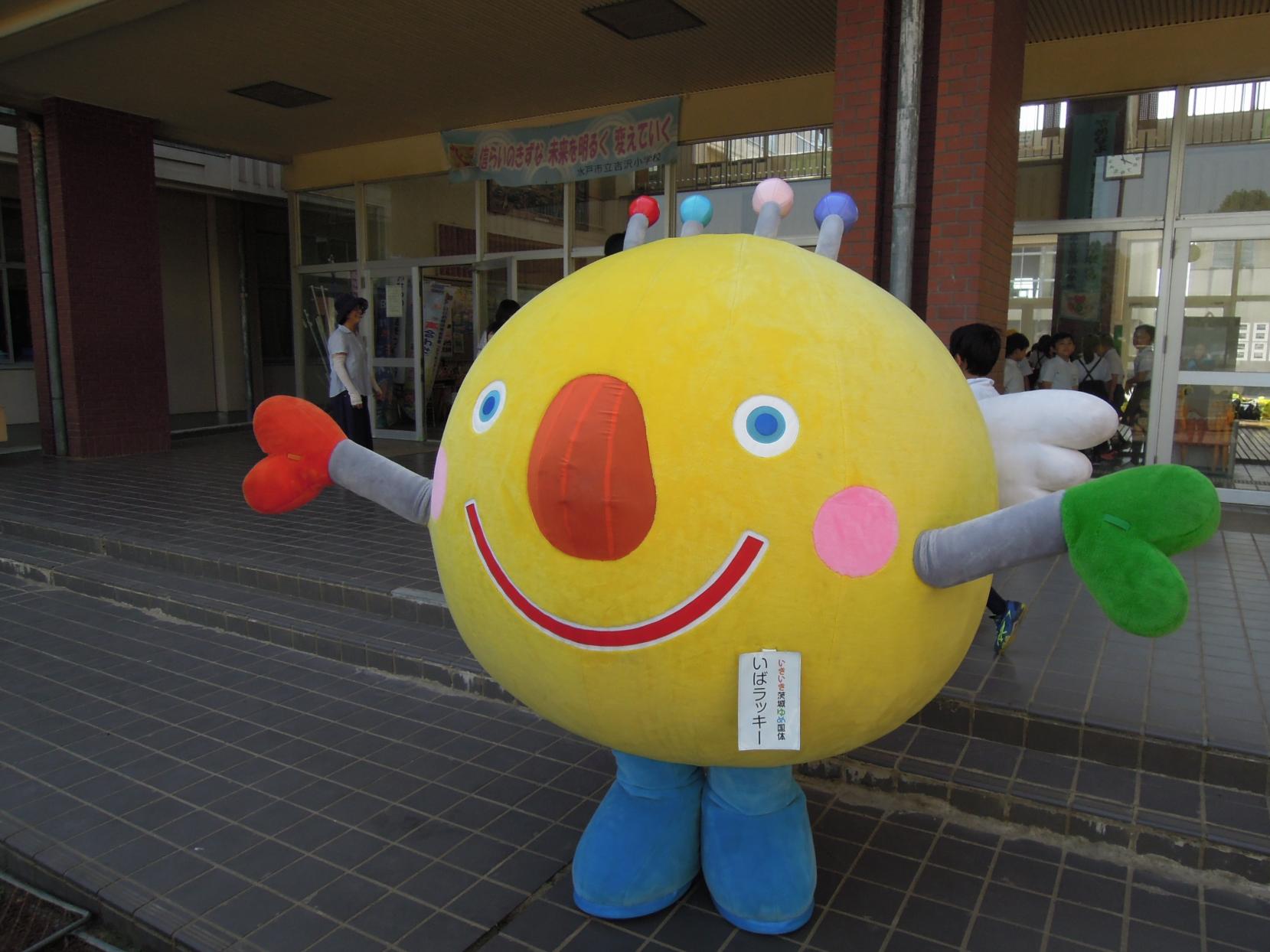 いばラッキー