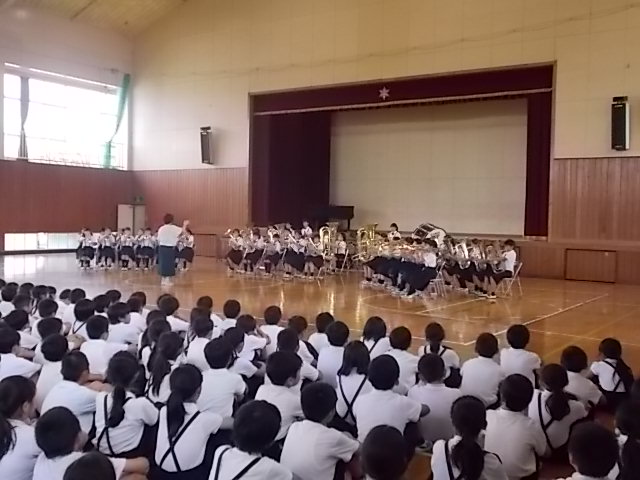 金管