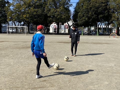 ホーリーホック ホーリーホック