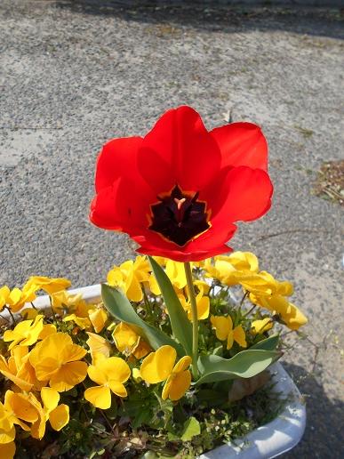 DSCN4450 DSCN4450
