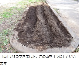 5IMG_3650 5IMG_3650
