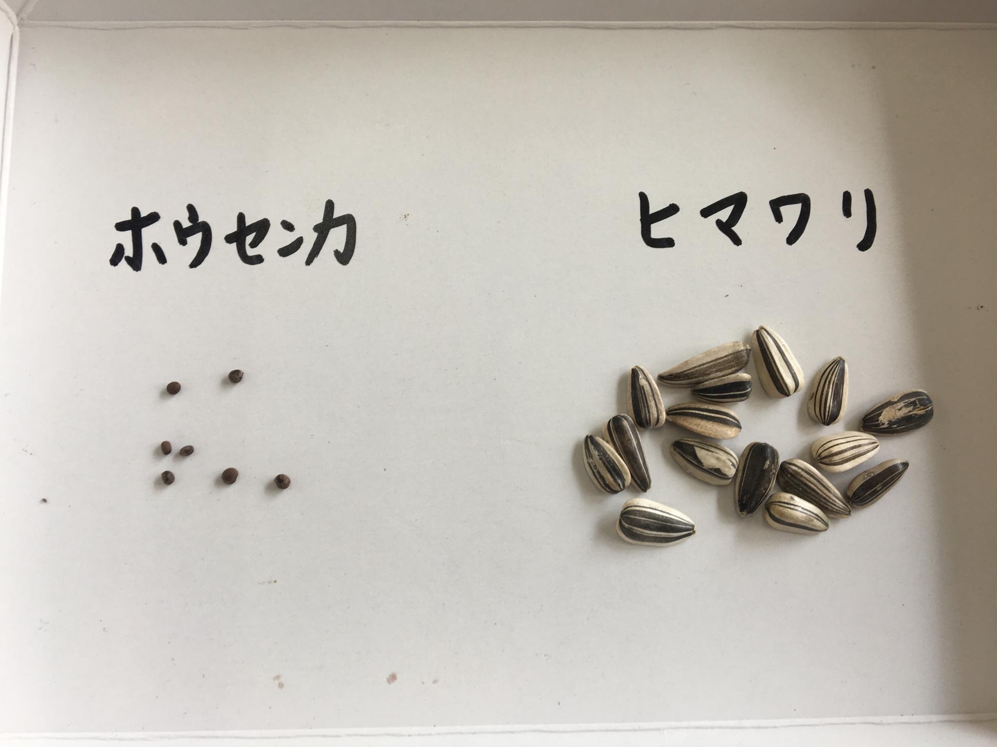 理科 理科