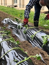 IMG_3249 IMG_3249