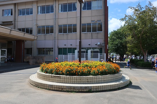 学校再開 学校再開