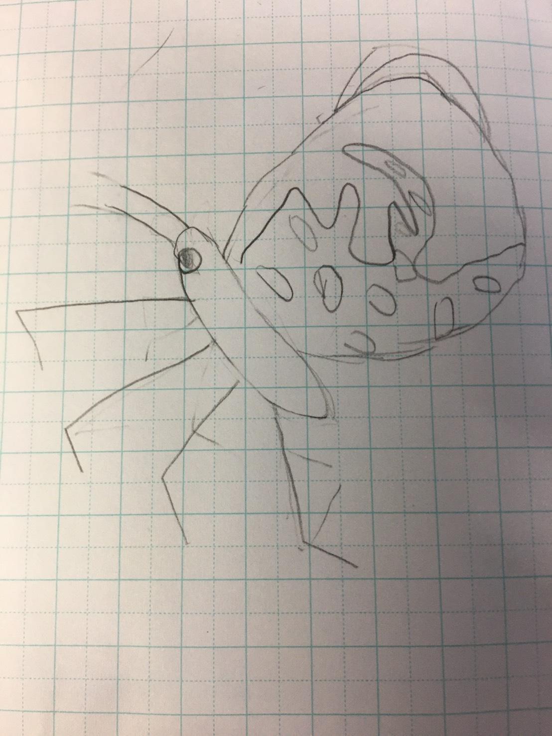モンシロ2 モンシロ2