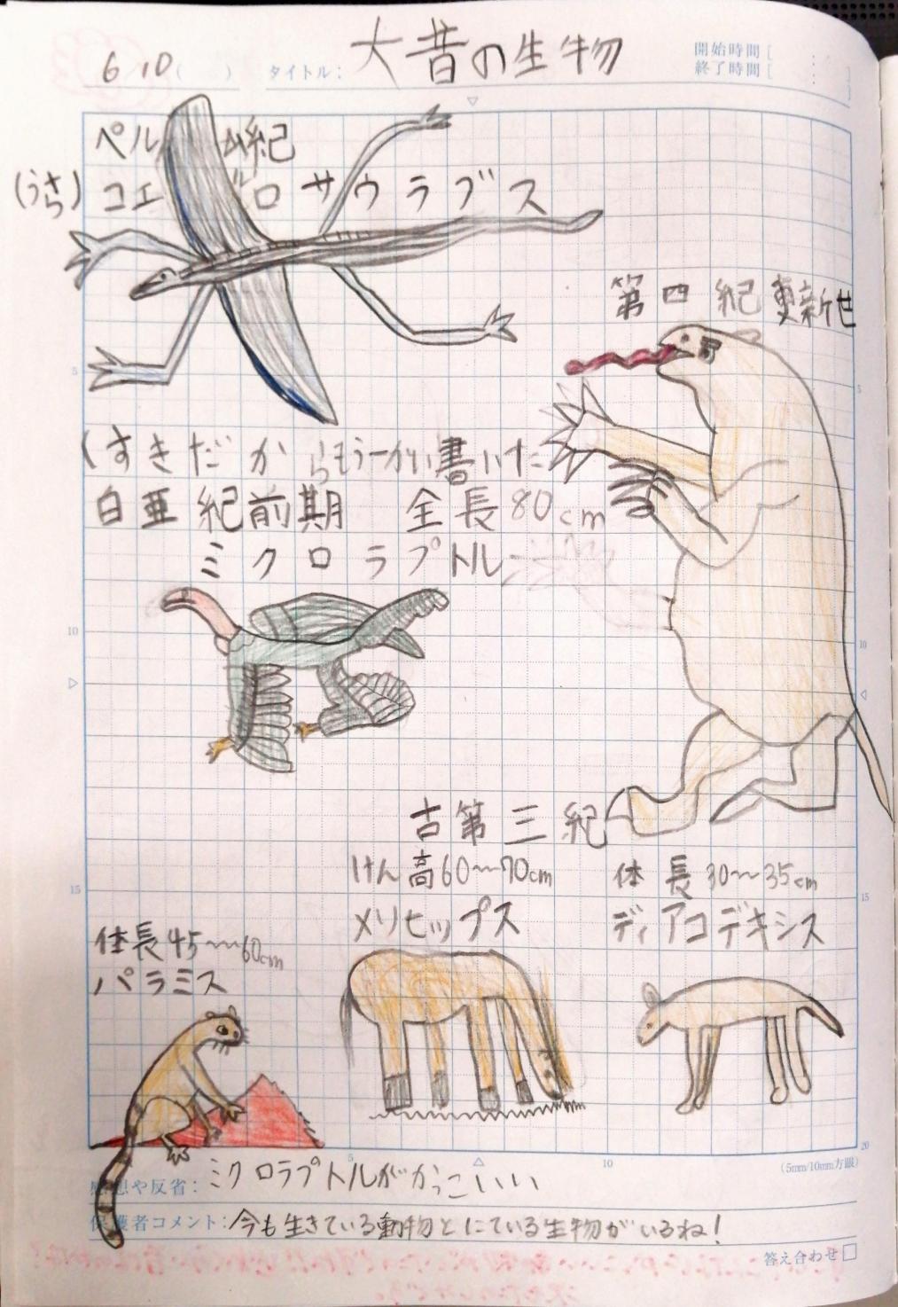 3-自主学習 3-自主学習