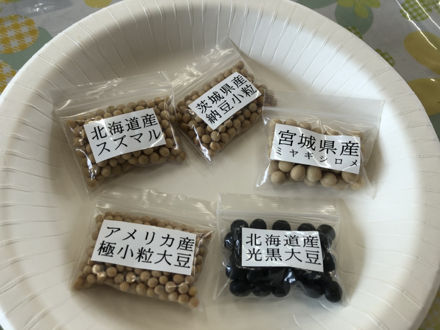 大豆