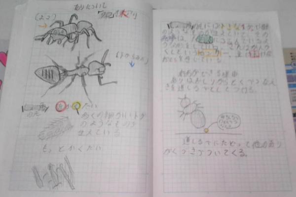 あり1 あり1