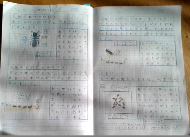 あり2 あり2