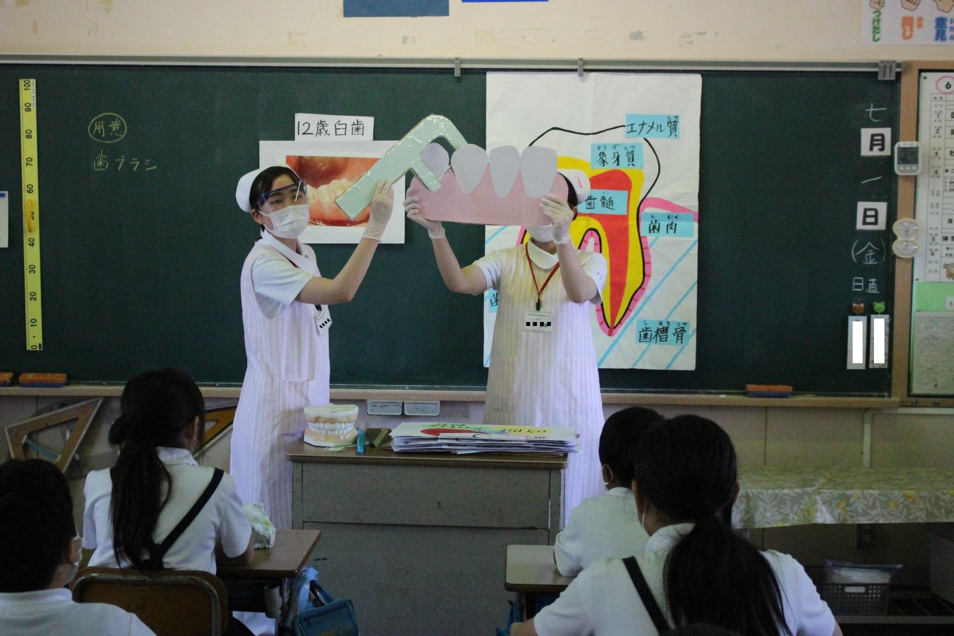 歯磨き6年 歯磨き6年