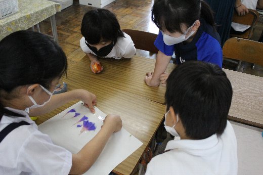 IMG_2062 IMG_2062