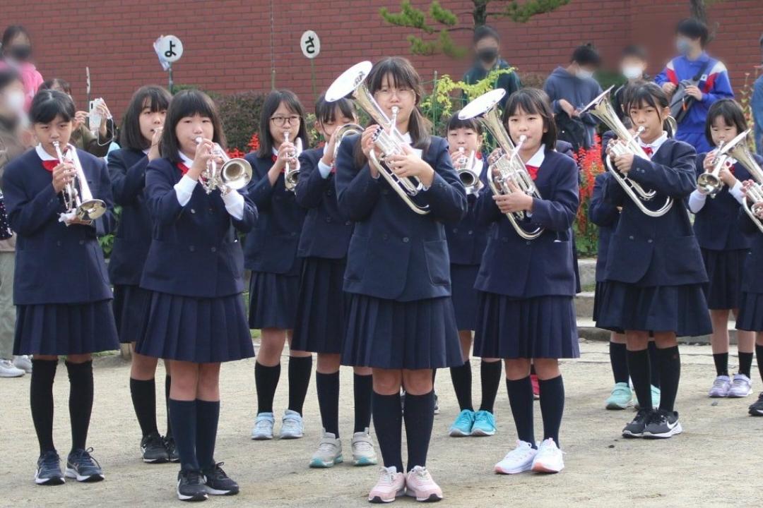TPモザイク TPモザイク
