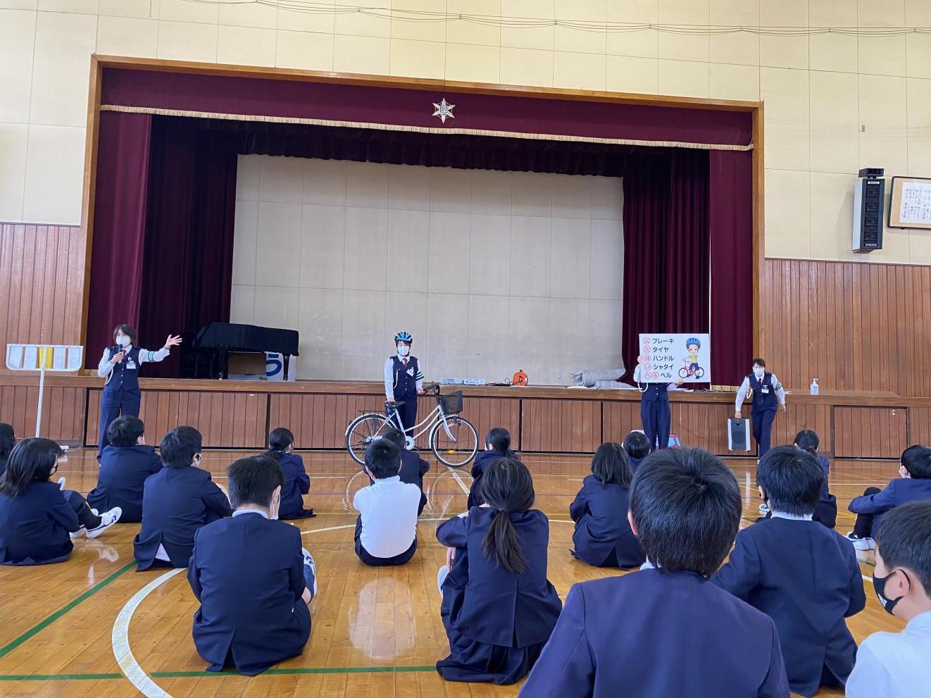 image_16875521